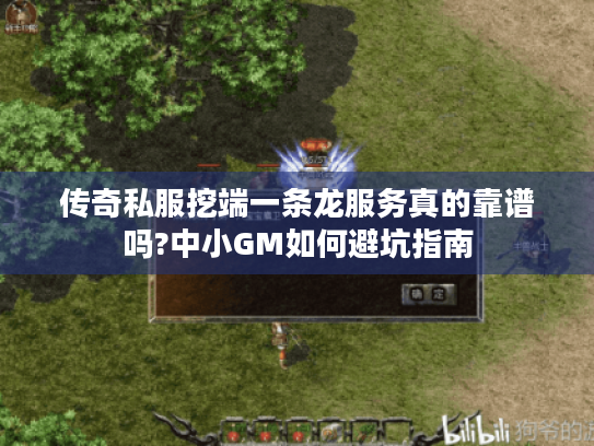 传奇私服挖端一条龙服务真的靠谱吗?中小GM如何避坑指南 传奇私服挖端一条龙服务真的靠谱吗?中小GM如何避坑指南