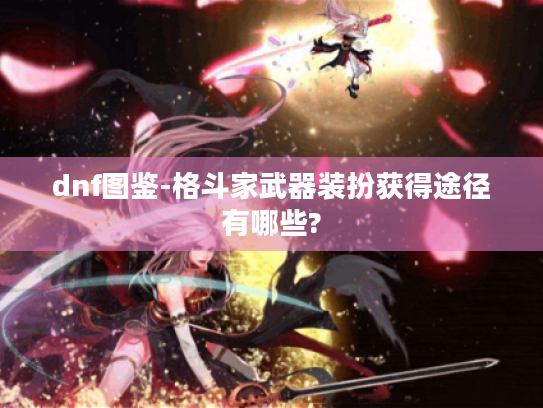 dnf图鉴-格斗家武器装扮获得途径有哪些?