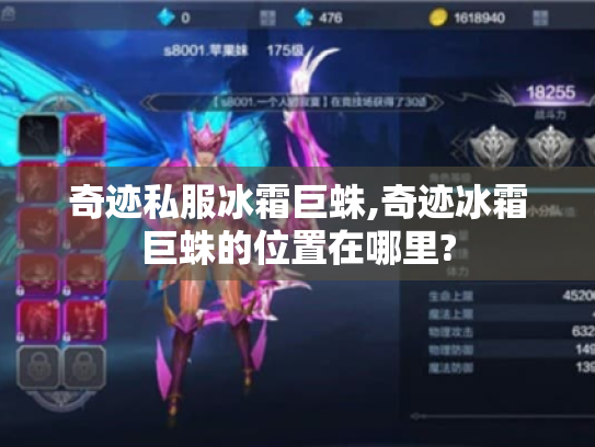 奇迹私服冰霜巨蛛,奇迹冰霜巨蛛的位置在哪里?