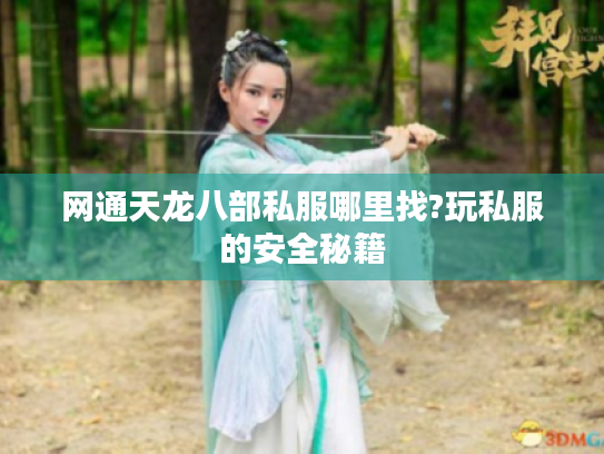 网通天龙八部私服哪里找?玩私服的安全秘籍