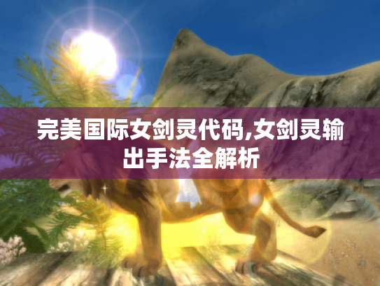 完美国际女剑灵代码,女剑灵输出手法全解析 完美国际女剑灵代码,女剑灵输出手法全解析