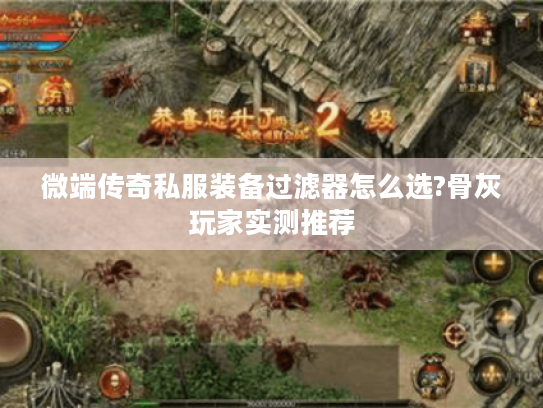 微端传奇私服装备过滤器怎么选?骨灰玩家实测推荐