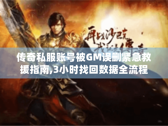 传奇私服账号被GM误删紧急救援指南,3小时找回数据全流程