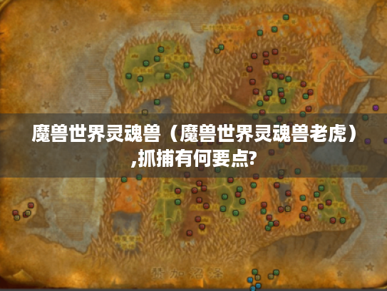 魔兽世界灵魂兽（魔兽世界灵魂兽老虎）,抓捕有何要点?