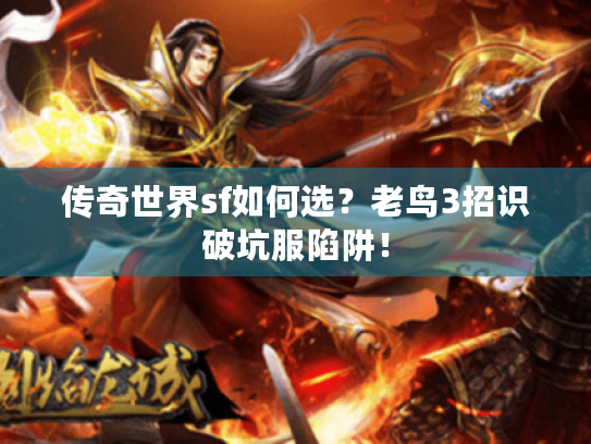 传奇世界sf如何选？老鸟3招识破坑服陷阱！