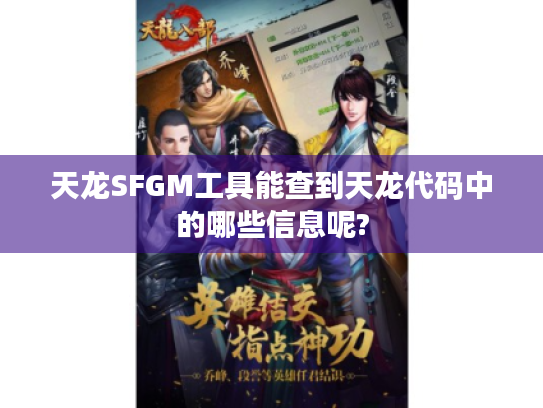 天龙SFGM工具能查到天龙代码中的哪些信息呢?