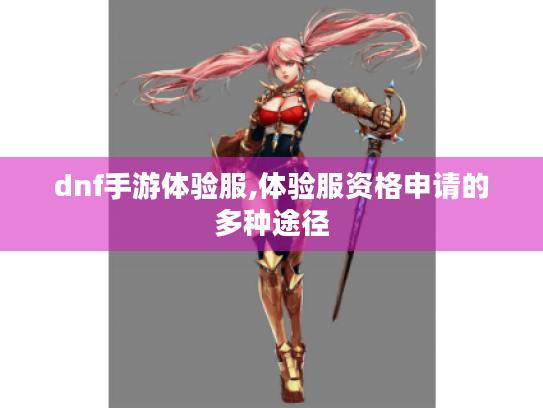 dnf手游体验服,体验服资格申请的多种途径