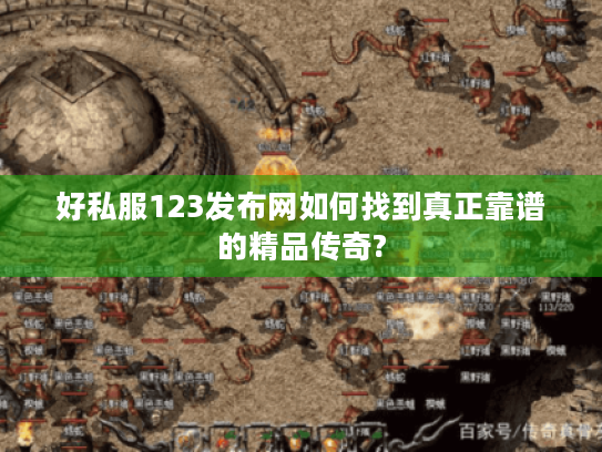 好私服123发布网如何找到真正靠谱的精品传奇? 好私服123发布网如何找到真正靠谱的精品传奇?