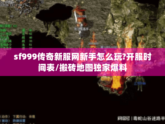 sf999传奇新服网新手怎么玩?开服时间表/搬砖地图独家爆料