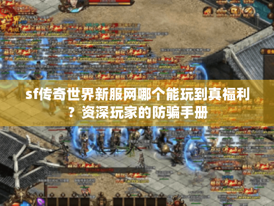 sf传奇世界新服网哪个能玩到真福利?资深玩家的防骗手册 sf传奇世界新服网哪个能玩到真福利?资深玩家的防骗手册