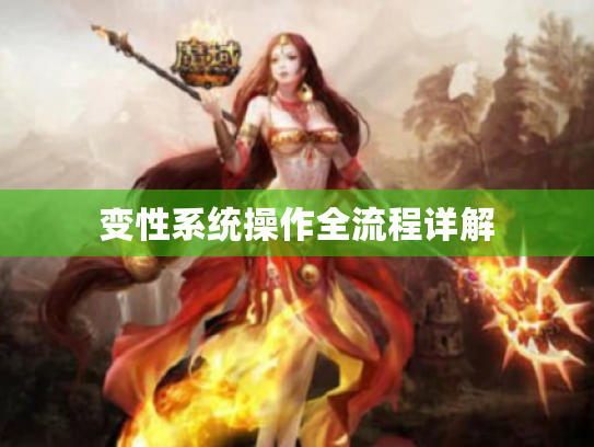 变性系统操作全流程详解