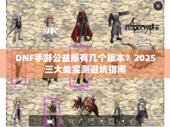 DNF手游公益服有几个版本？2025三大类实测避坑指南