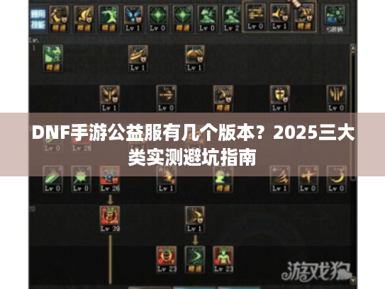 DNF手游公益服有几个版本？2025三大类实测避坑指南