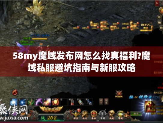 58my魔域发布网怎么找真福利?魔域私服避坑指南与新服攻略