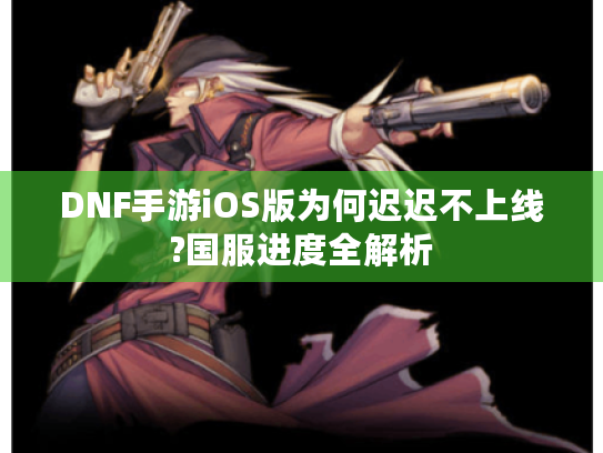 DNF手游iOS版为何迟迟不上线?国服进度全解析