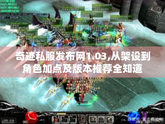 奇迹私服发布网1.03,从架设到角色加点及版本推荐全知道 奇迹私服发布网1.03,从架设到角色加点及版本推荐全知道