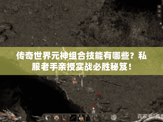 传奇世界元神组合技能有哪些？私服老手亲授实战必胜秘笈！