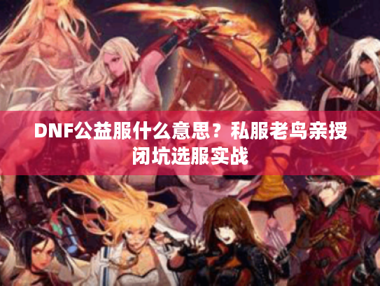 DNF公益服什么意思？私服老鸟亲授闭坑选服实战