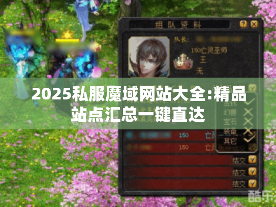2025私服魔域网站大全:精品站点汇总一键直达