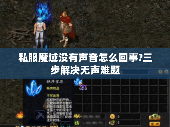 私服魔域没有声音怎么回事?三步解决无声难题