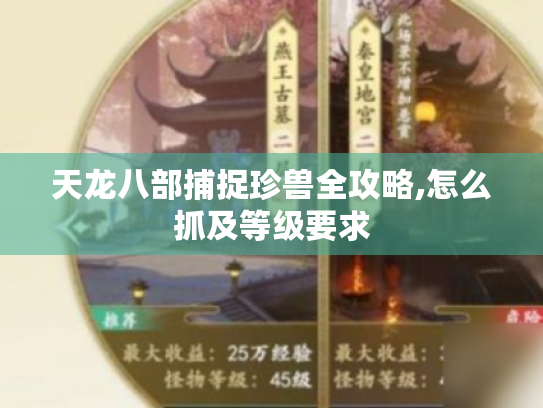 天龙八部捕捉珍兽全攻略,怎么抓及等级要求