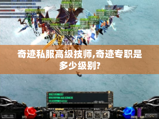 奇迹私服高级技师,奇迹专职是多少级别?
