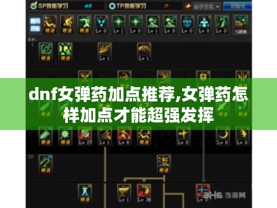 dnf女弹药加点推荐,女弹药怎样加点才能超强发挥