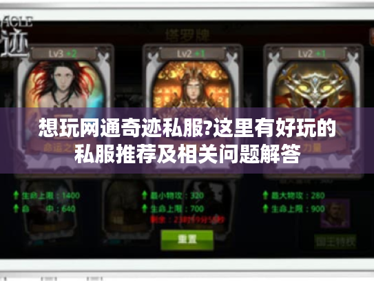 想玩网通奇迹私服?这里有好玩的私服推荐及相关问题解答