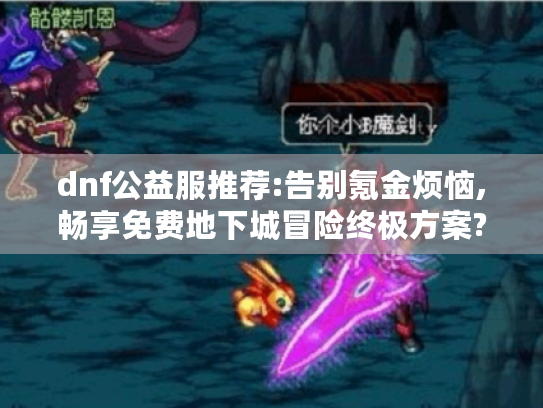dnf公益服推荐:告别氪金烦恼,畅享免费地下城冒险终极方案?