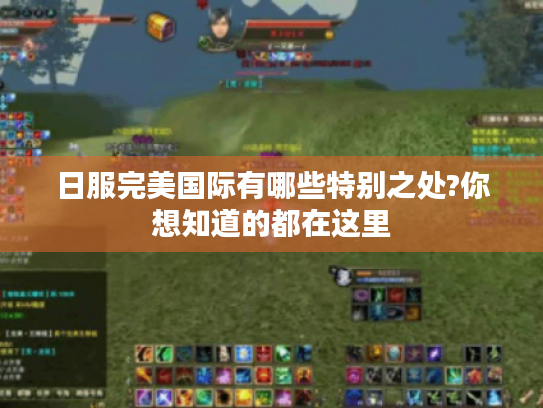 日服完美国际有哪些特别之处?你想知道的都在这里