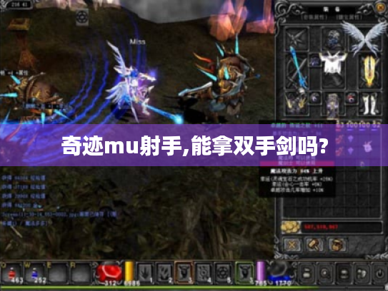 奇迹mu射手,能拿双手剑吗?