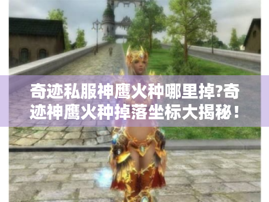 奇迹私服神鹰火种哪里掉?奇迹神鹰火种掉落坐标大揭秘！