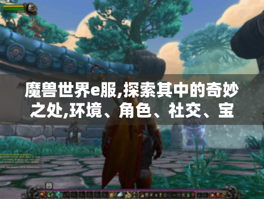 魔兽世界e服,探索其中的奇妙之处,环境、角色、社交、宝藏全揭秘 魔兽世界e服,探索其中的奇妙之处,环境、角色、社交、宝藏全揭秘