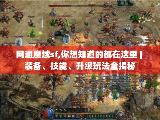 网通魔域sf,你想知道的都在这里 | 装备、技能、升级玩法全揭秘