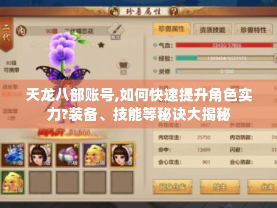 天龙八部账号,如何快速提升角色实力?装备、技能等秘诀大揭秘