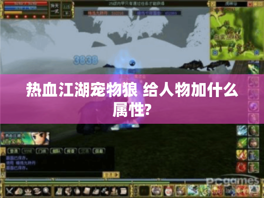 热血江湖宠物狼 给人物加什么属性?