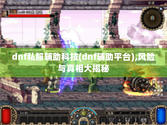 dnf私服辅助科技(dnf辅助平台),风险与真相大揭秘