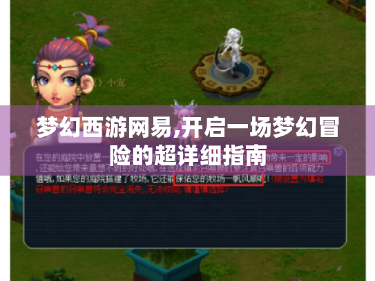 梦幻西游网易,开启一场梦幻冒险的超详细指南