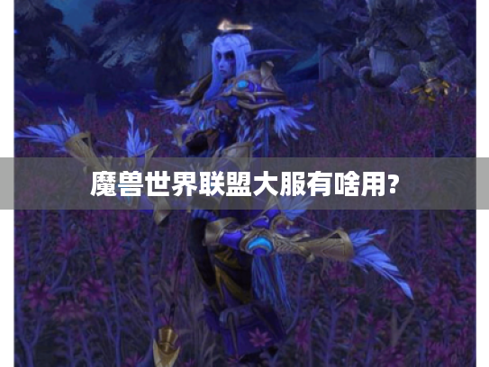 魔兽世界联盟大服有啥用? 魔兽世界联盟大服有啥用?