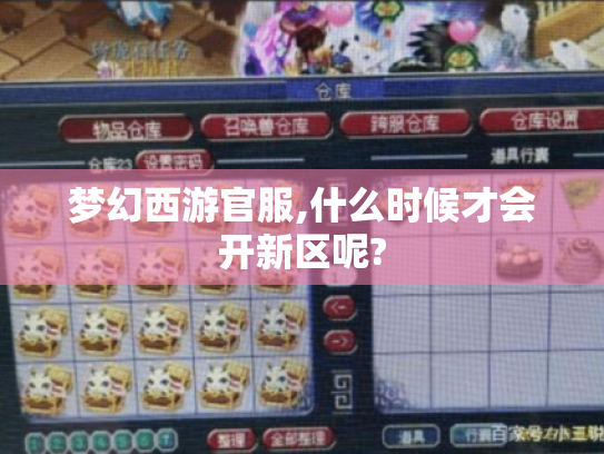 梦幻西游官服,什么时候才会开新区呢? 梦幻西游官服,什么时候才会开新区呢?