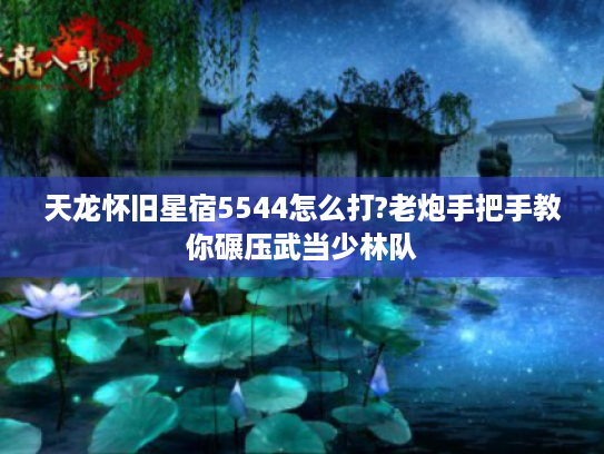 天龙怀旧星宿5544怎么打?老炮手把手教你碾压武当少林队 天龙怀旧星宿5544怎么打?老炮手把手教你碾压武当少林队