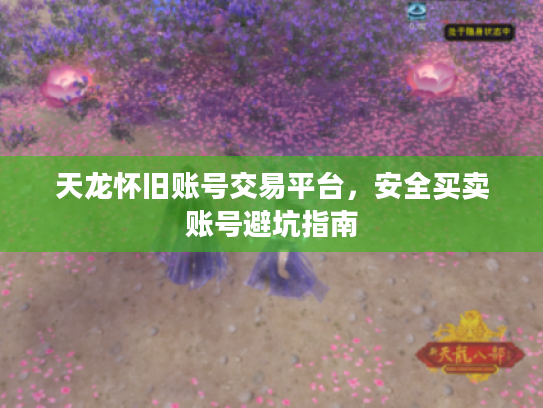 天龙怀旧账号交易平台,安全买卖账号避坑指南 天龙怀旧账号交易平台,安全买卖账号避坑指南