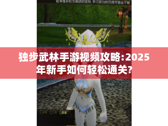 独步武林手游视频攻略:2025年新手如何轻松通关?