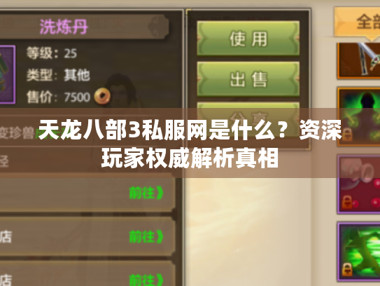 天龙八部3私服网是什么？资深玩家权威解析真相