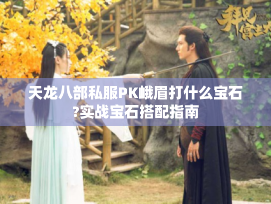 天龙八部私服PK峨眉打什么宝石?实战宝石搭配指南