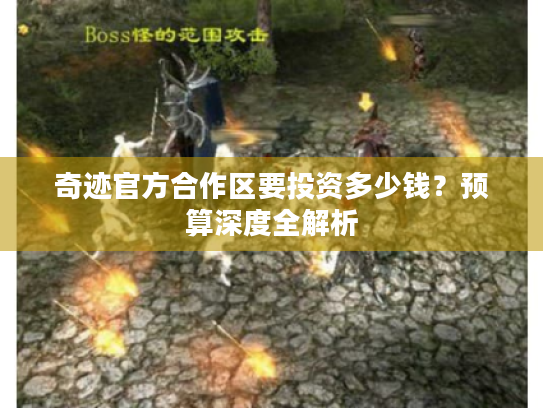 奇迹官方合作区要投资多少钱？预算深度全解析