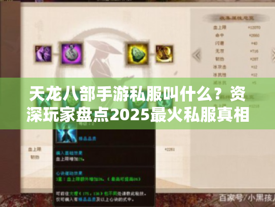 天龙八部手游私服叫什么?资深玩家盘点2025最火私服真相 天龙八部手游私服叫什么?资深玩家盘点2025最火私服真相