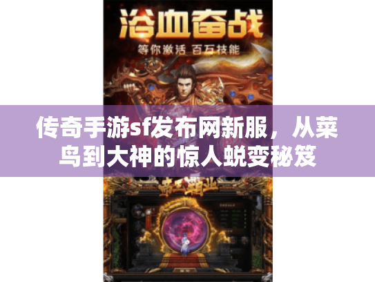 传奇手游sf发布网新服，从菜鸟到大神的惊人蜕变秘笈