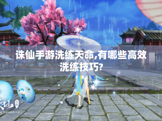 诛仙手游洗练天命,有哪些高效洗练技巧? 诛仙手游洗练天命,有哪些高效洗练技巧?
