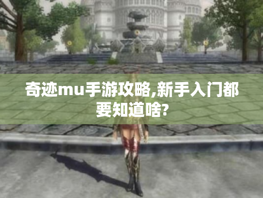 奇迹mu手游攻略,新手入门都要知道啥?